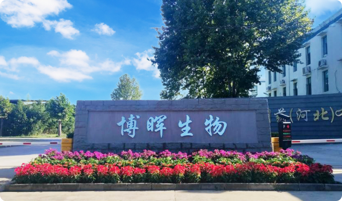 suncitygroup太阳集团生物造药（河北）有限公司